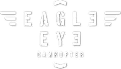 Logo / Eagle Eye