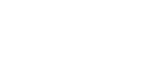 Logo / Eagle Eye