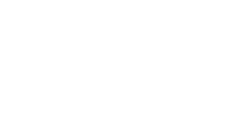 Logo / Eagle Eye